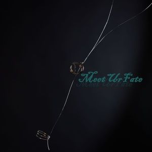 Meet your Posher, MeetUrFate!